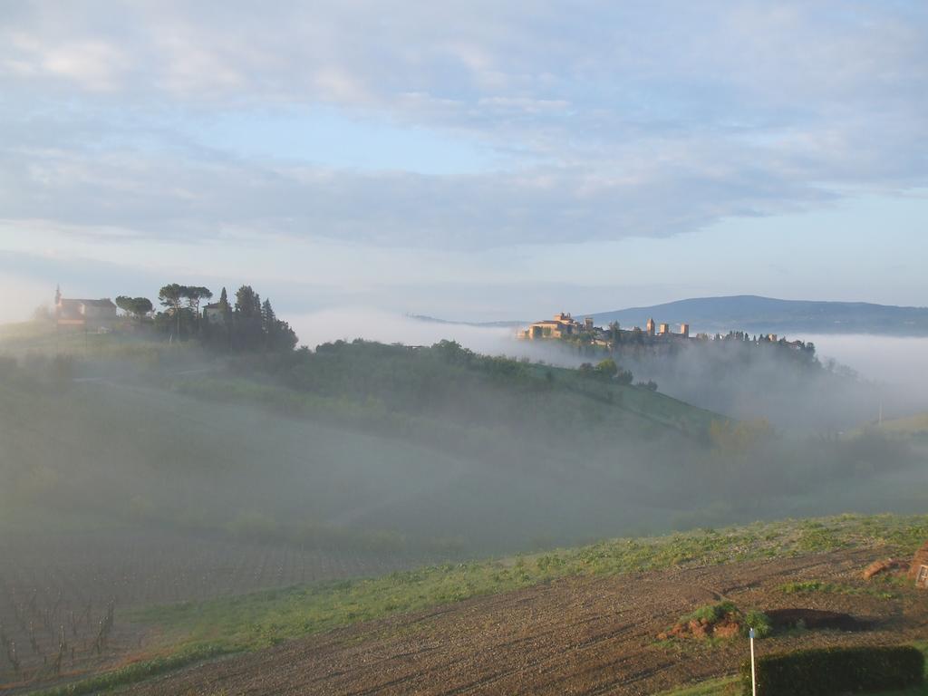 Вілла Agriturismo Il Torrione Чертальдо Екстер'єр фото