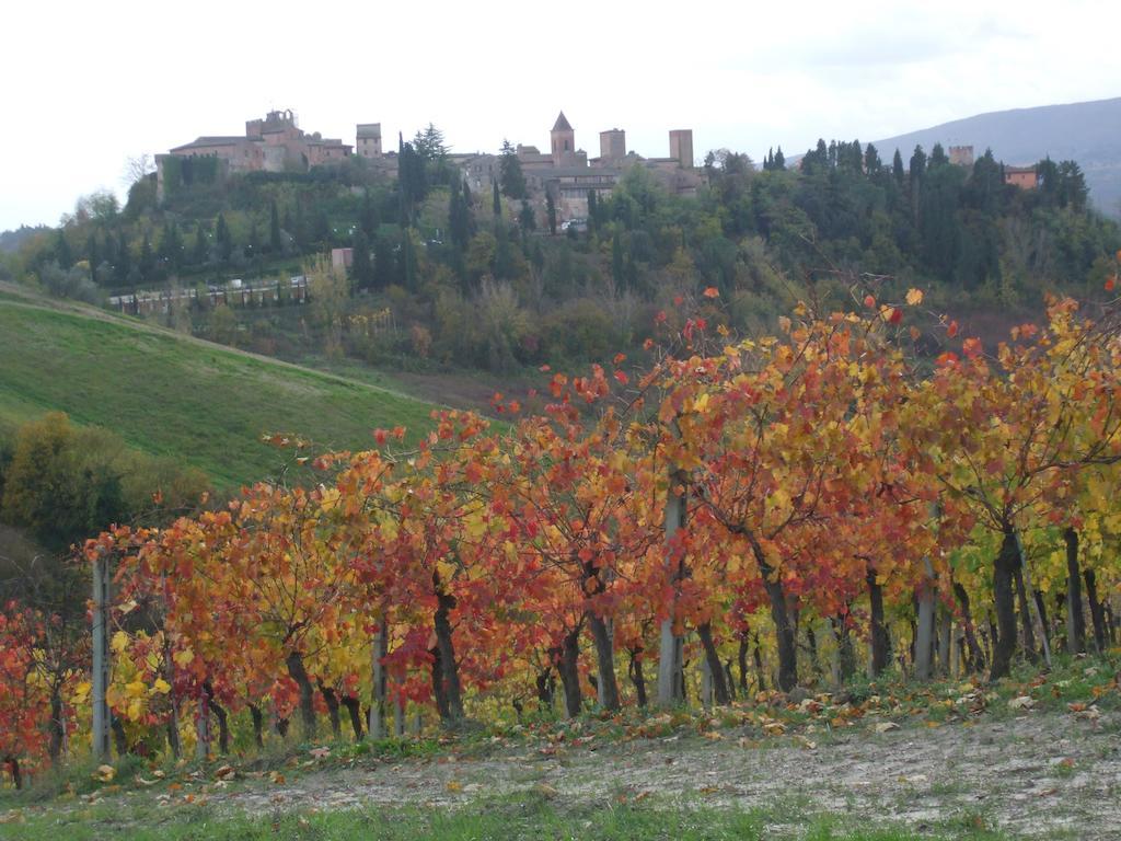 Вілла Agriturismo Il Torrione Чертальдо Екстер'єр фото