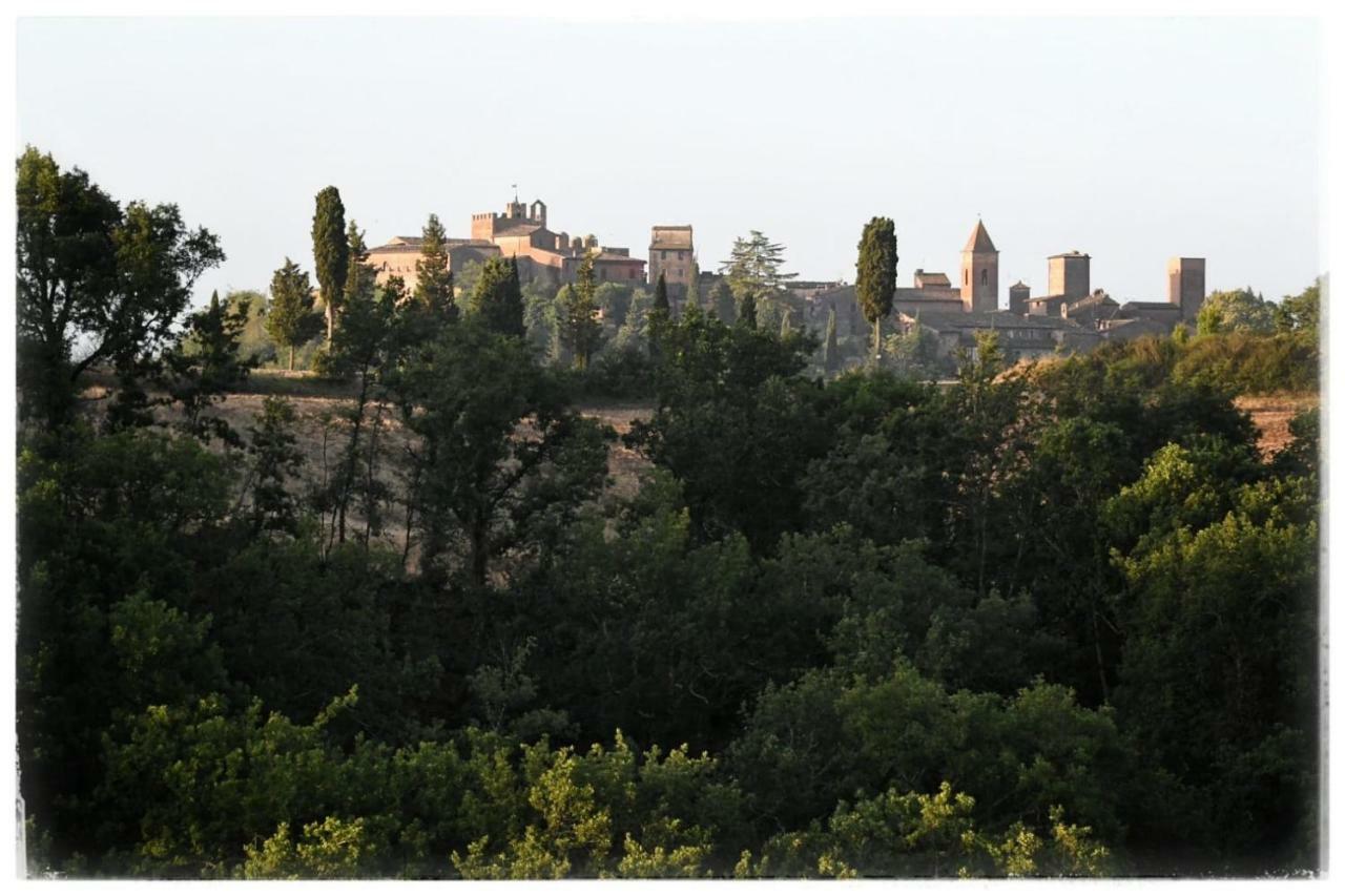 Вілла Agriturismo Il Torrione Чертальдо Екстер'єр фото